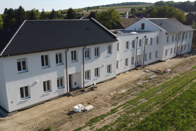 Grünspecht Ansicht Eingangsseite