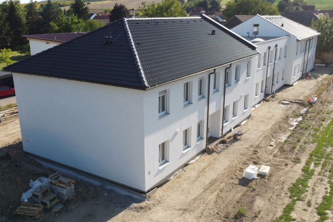 Grünspecht Zugang