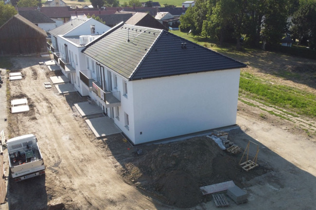 Grünspecht Ansicht vom Parkplatz
